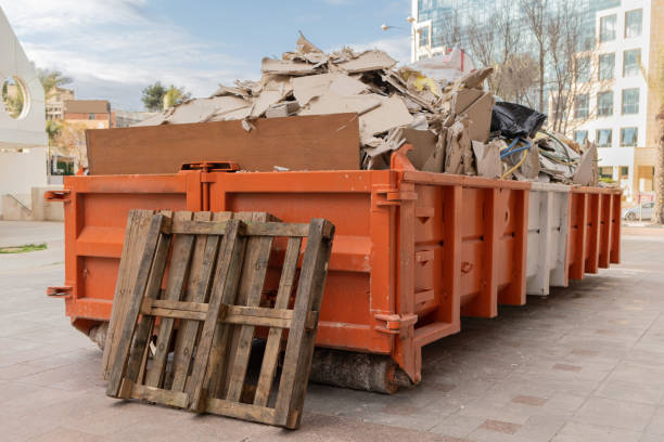 Best Hoarding Cleanup  in Ellsworth, KS